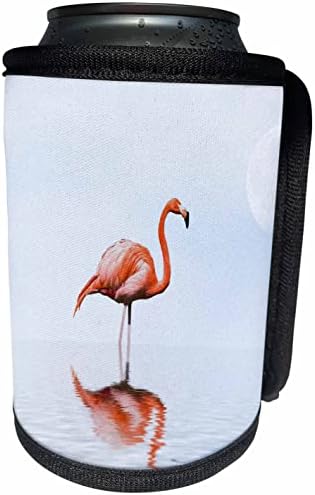 3dRose Diz Derin Flamingo Fledgling Suluboya - Can Soğutucu Şişe Sarma (cc-361095-1)