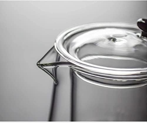 Su ısıtıcısı 500 Ml ısıya dayanıklı cam çaydanlık filtre çaydanlıklar