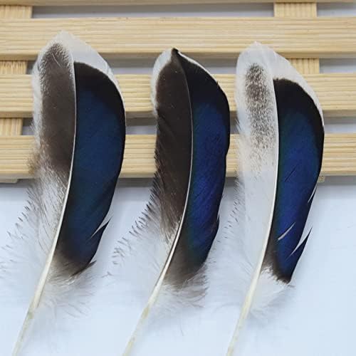 Zamihalaa 10-5000 Adet 12-15 cm Kanat Tüyleri Vahşi Ördek Tüyleri DIY El Sanatları için Giyim Aksesuarları-10 adet