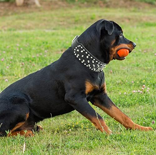 Bonawen Deri köpek tasması Çivili köpek tasması Sivri Büyük Orta Köpekler için,2 Genişlik (Siyah, M)