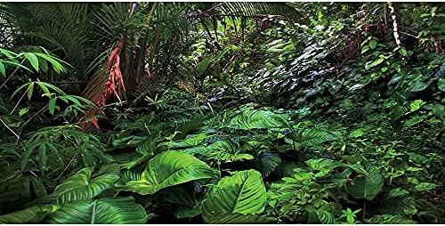 AWERT Yağmur Ormanı Teraryum Arka Plan Derin Orman Akvaryum Arka Plan Tropikal Bitkiler Sürüngen Habitat Arka Plan