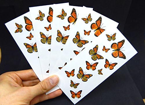 55 Monarch Kelebek Geçici Dövmeleri